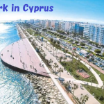 地中海キプロスで働いてみませんか？